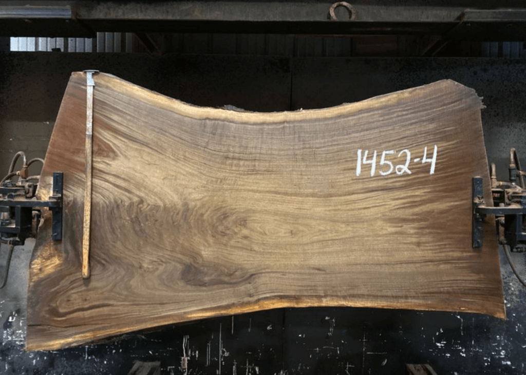 A large, polished walnut slab with a live edge is mounted horizontally in a workshop setting. The rich, dark grain and irregular edges stand out beautifully. The number "1452-4" is written in white on the right side of the slab, secured firmly by clamps.